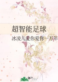 超智慧足球